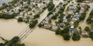 Water Pollution After Hurricane Harvey